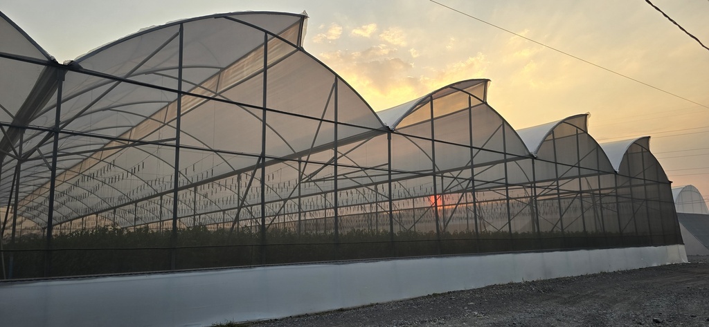 Invernadero C-800C4